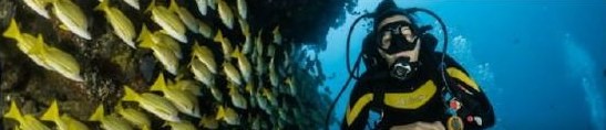 Ocean Explorer
